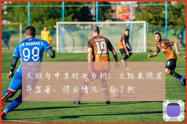 文班与申京对决分析：主防表现差异显著，得分情况一目了然